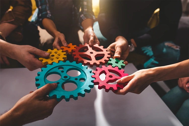 Professional Business Management Strategies: Building a Strong and Trained Team